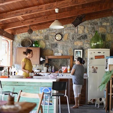 B&B Casa Dei Nonni Скарио Екстериор снимка